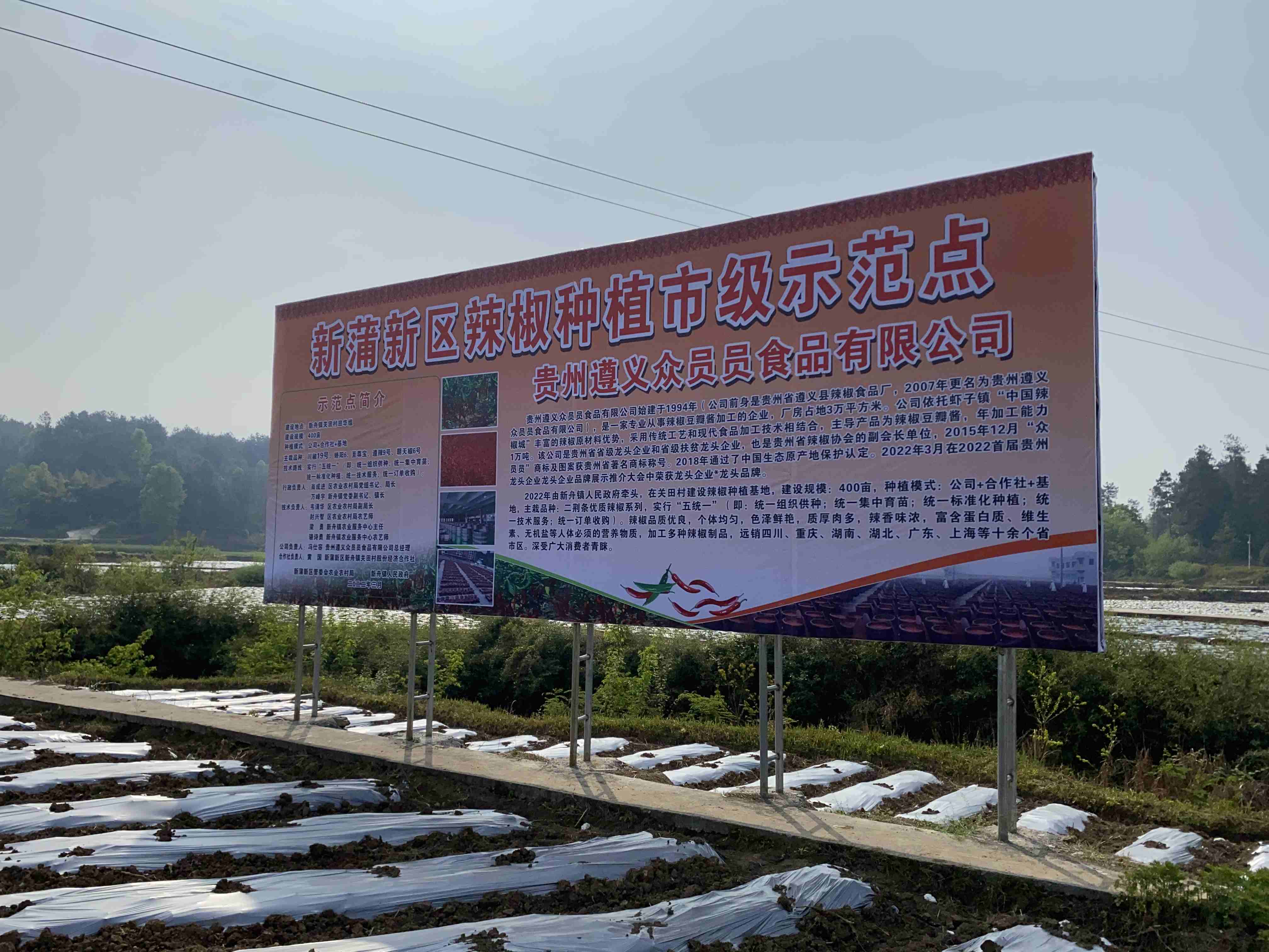 深耕辣业三十载 匠心筑梦启新程——贵州遵义众员员食品聚力产业振兴赋能乡村发展纪实