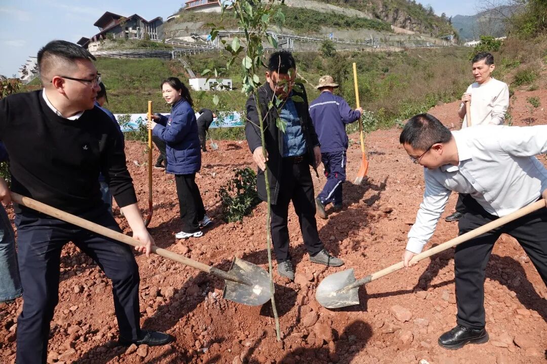 三省同心绿   一脉共酒香  2026年“中国茅台·国之栋梁”生态守护公益行动启动