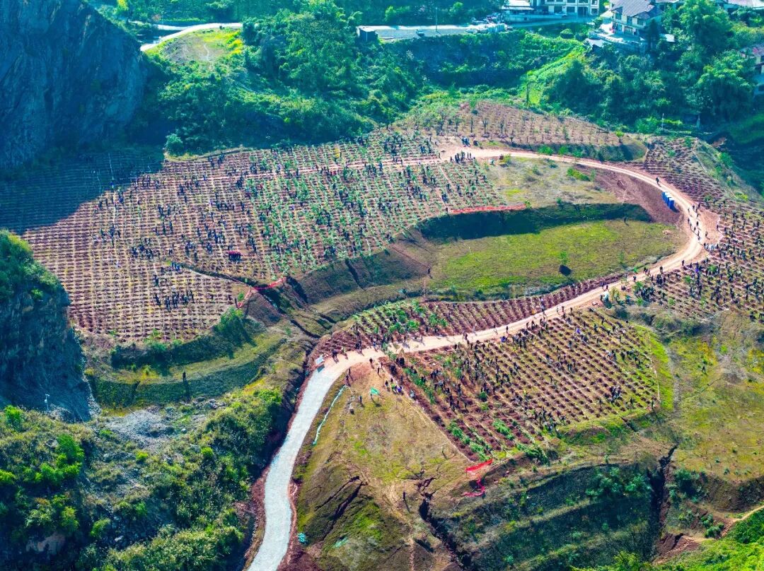 三省同心绿   一脉共酒香  2026年“中国茅台·国之栋梁”生态守护公益行动启动