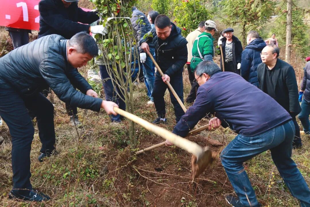 三省同心绿   一脉共酒香  2026年“中国茅台·国之栋梁”生态守护公益行动启动