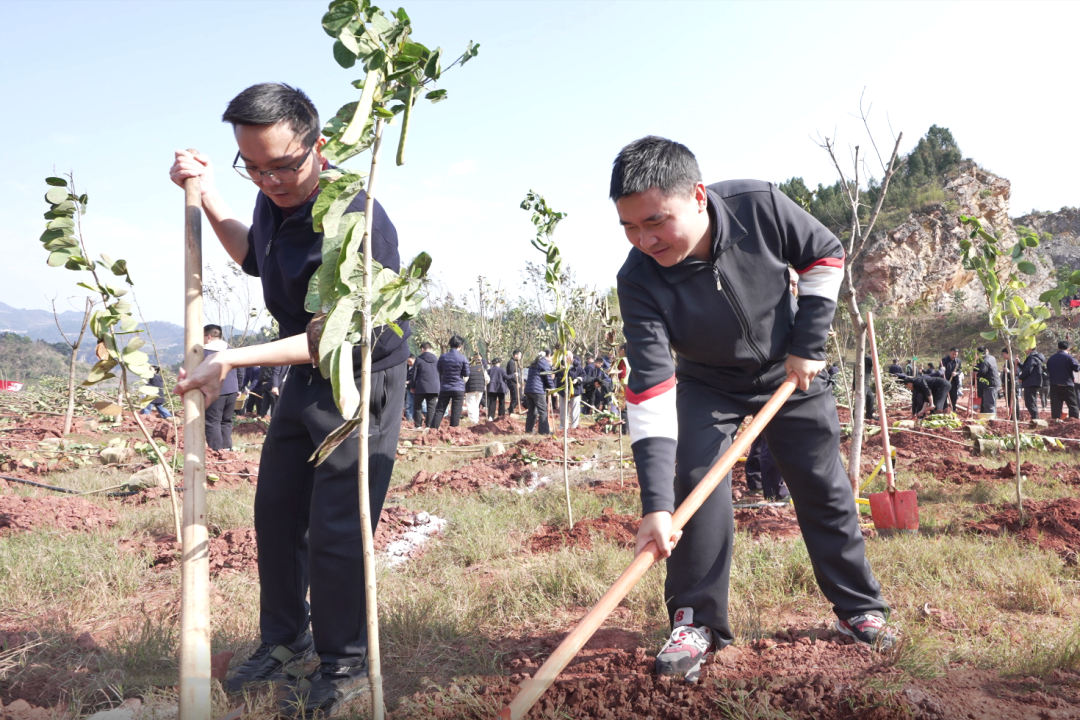 三省同心绿   一脉共酒香  2026年“中国茅台·国之栋梁”生态守护公益行动启动