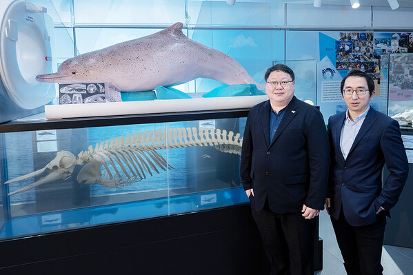 港城大研究揭示液晶显示屏化学物可穿透海豚大脑 威胁海洋生态