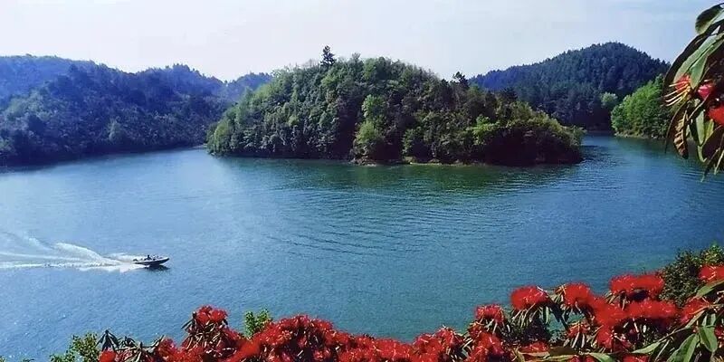 官宣 长顺文旅新IP亮相！四季好景等你来