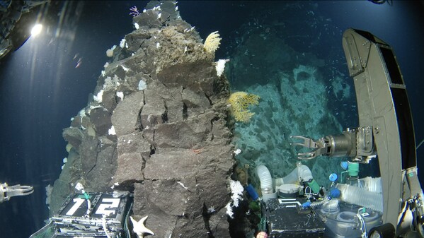 科学家在日本深海探险期间发现“玻璃城堡中的生命”和数十种新物种