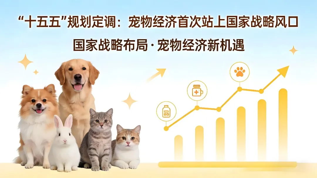 京东重拳入局宠物赛道！精致养宠时代，如何正确选择宠物消毒用品？