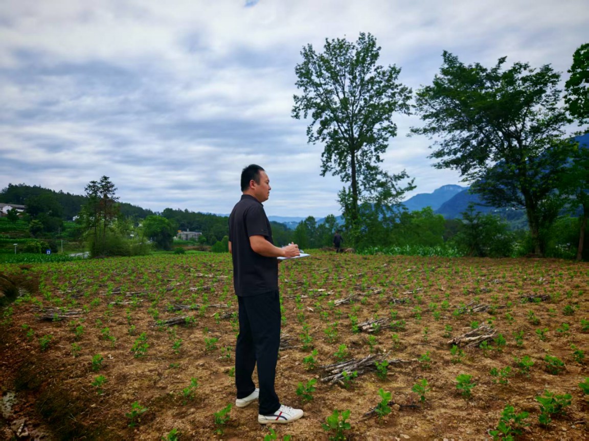 一封感谢信 满满帮扶情——平安人寿贵州分公司驻村工作获乡镇肯定 一封感谢信 满满帮扶情——平安人寿贵州分公司驻村工作获乡镇肯定