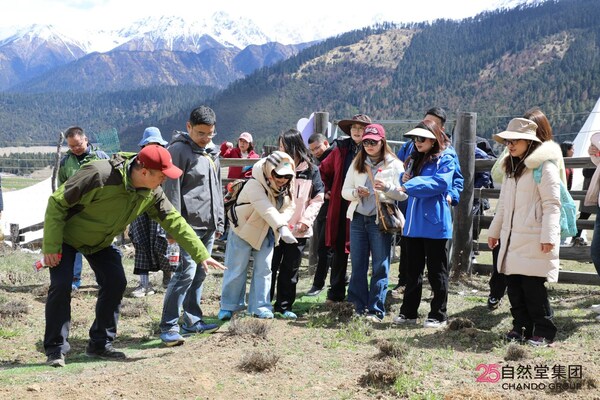 以科研为根,以传播为桥:自然堂集团喜马拉雅科学溯源暨2026东方美谷国际化妆品大会科学传播分论坛圆满举行 以科研为根,以传播为桥:自然堂集团喜马拉雅科学溯源暨2026东方美谷国际化妆品大会科学传播分论坛圆满举行