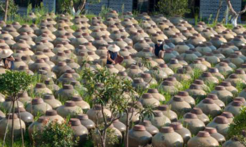 走进“专精特新” | 赤水曾氏晒醋:百年非遗守匠心 三产融合兴黔工 走进“专精特新” | 赤水曾氏晒醋:百年非遗守匠心 三产融合兴黔工