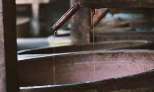 走进“专精特新” | 赤水曾氏晒醋:百年非遗守匠心 三产融合兴黔工 走进“专精特新” | 赤水曾氏晒醋:百年非遗守匠心 三产融合兴黔工