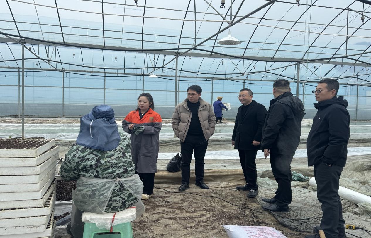 贵州为青年创业者全方位保驾护航:创业“点子”加速蜕变为产业“种子” 贵州为青年创业者全方位保驾护航:创业“点子”加速蜕变为产业“种子”