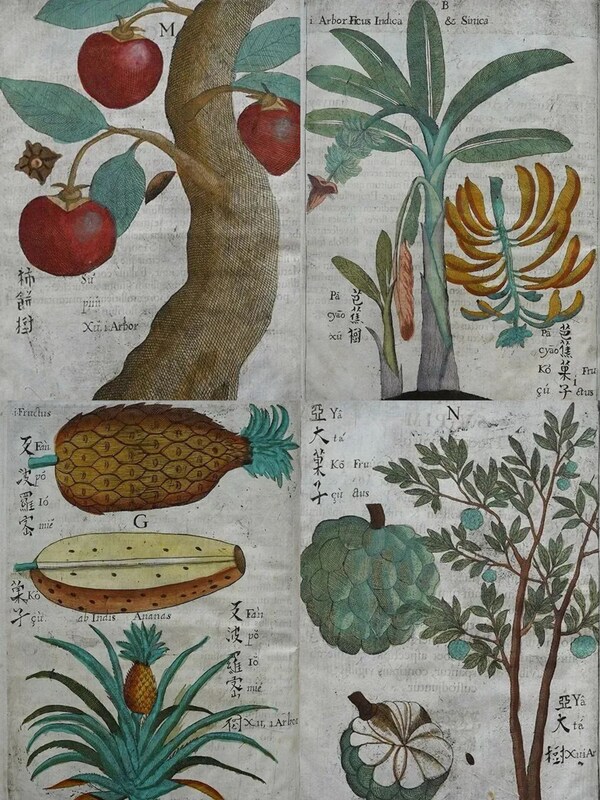 fruru "书中还有毛茸茸"系列毛绒玩偶4月23日正式发售