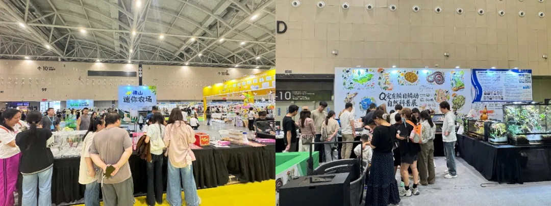 首届Q宠・佛山宠博会圆满收官！贵州百草轩产品广受好评，海内外客商齐聚洽谈代理合作