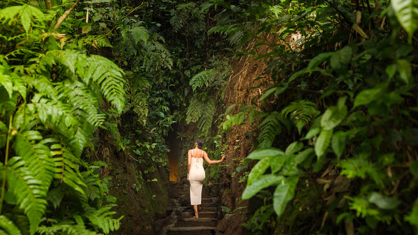 Bambu Indah树屋荣登BBC Culture全球最壮观树屋之列