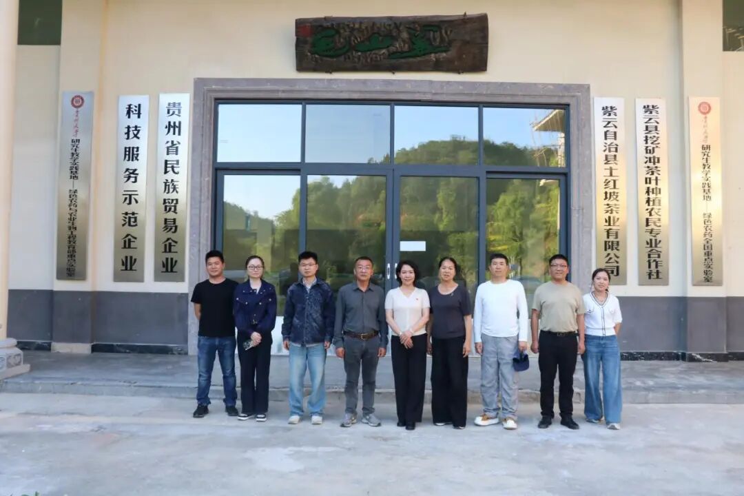 贵州省品牌建设促进会赴紫云土红坡茶业调研，共谋品牌建设新路径