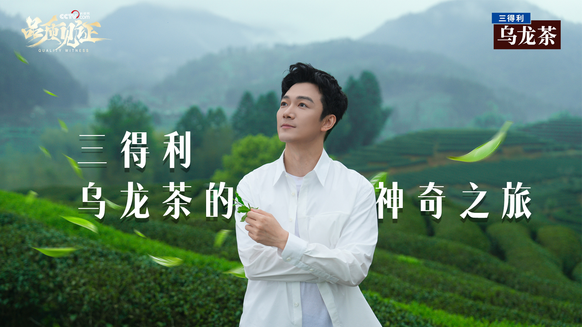 央视网探访三得利乌龙茶：解码一瓶好茶背后的品质坚守