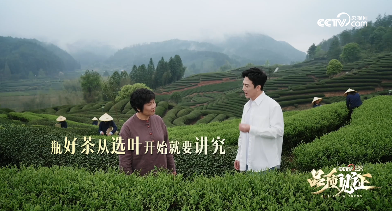 央视网探访三得利乌龙茶:解码一瓶好茶背后的品质坚守 央视网探访三得利乌龙茶:解码一瓶好茶背后的品质坚守