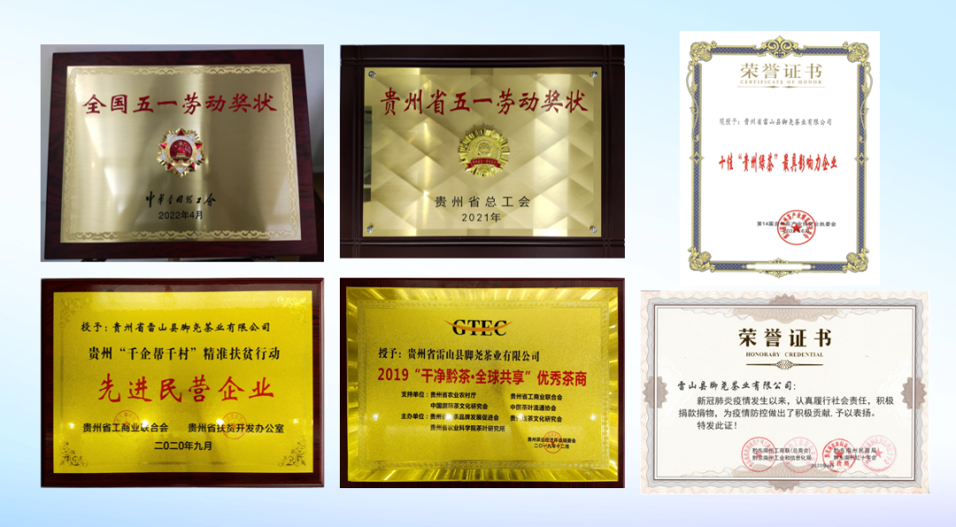 贵州省品牌建设促进会赴雷山脚尧茶业调研 共探老字号品牌价值提升路径
