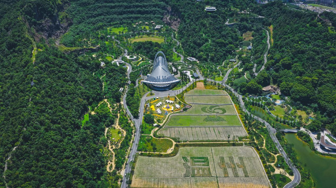巴拉巴拉“热爱社区”落地温州园博园：以公益赋能百姓园博，助力温州儿童友好城市建设