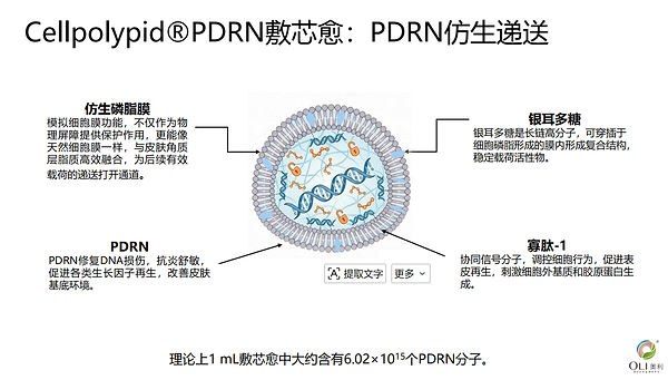 敷尔佳首次以主题演讲形式亮相IFSCC，分享积雪草、细胞磷脂两大核心研究成果
