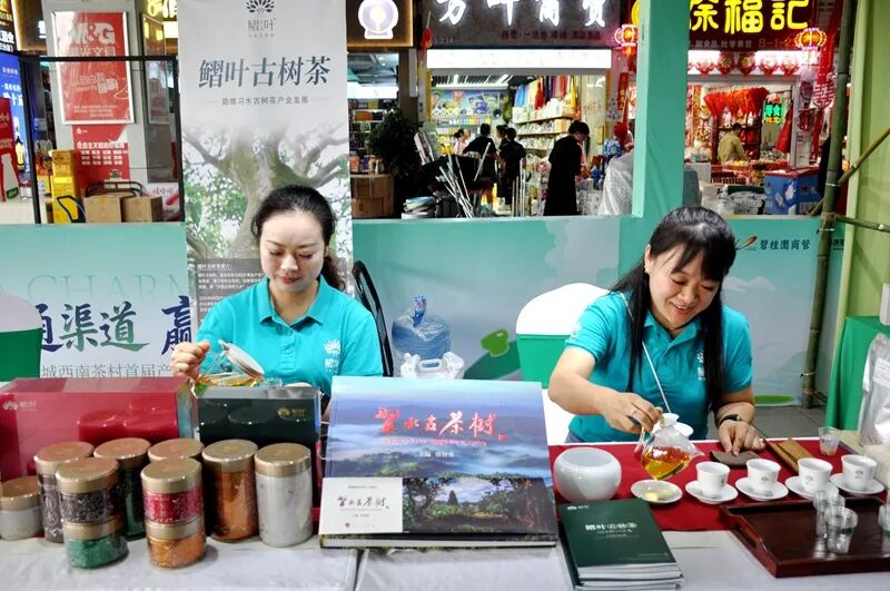 贵州贵阳西南茶村首届产销对接会盛大开幕
