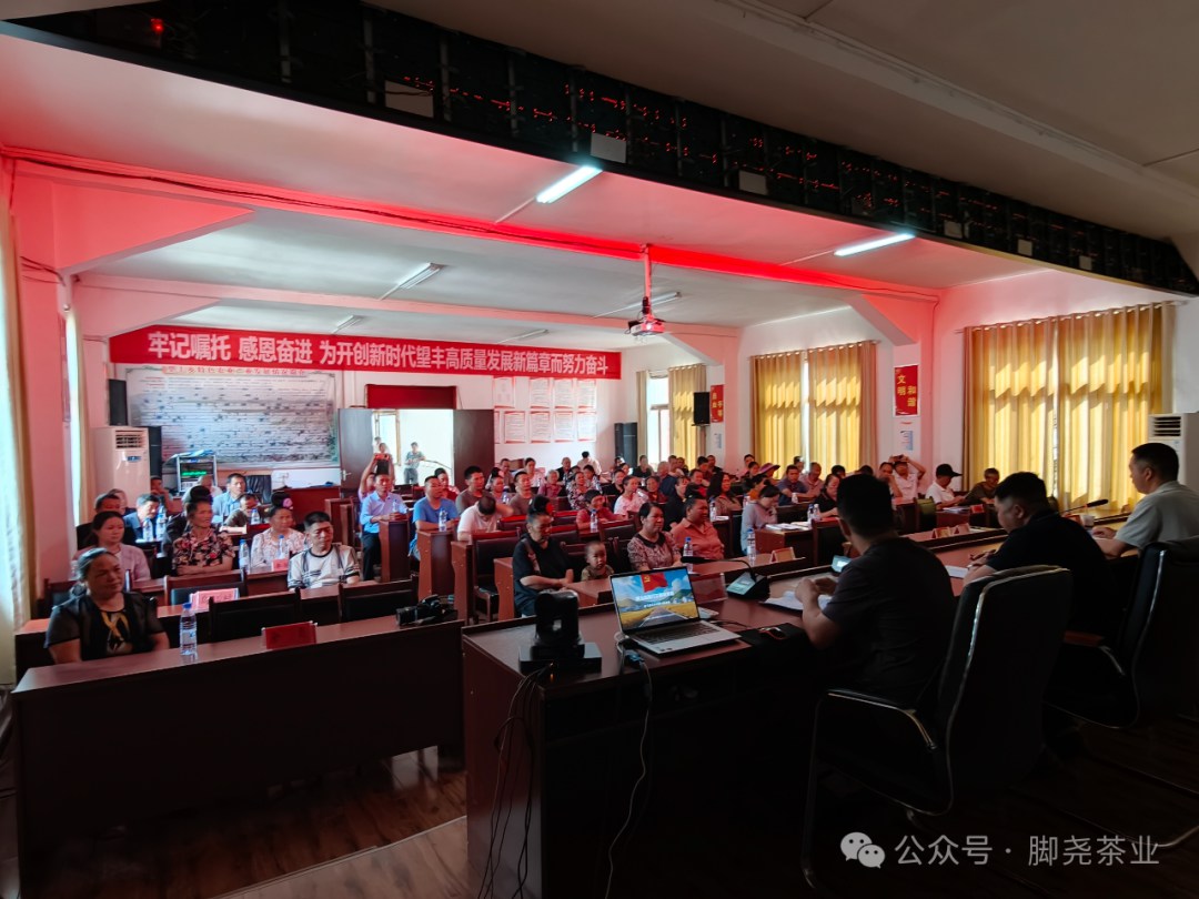 茶技培训送下乡 赋能茶山促振兴——脚尧茶业赴望丰乡开展茶园管护技能培训 茶技培训送下乡 赋能茶山促振兴——脚尧茶业赴望丰乡开展茶园管护技能培训