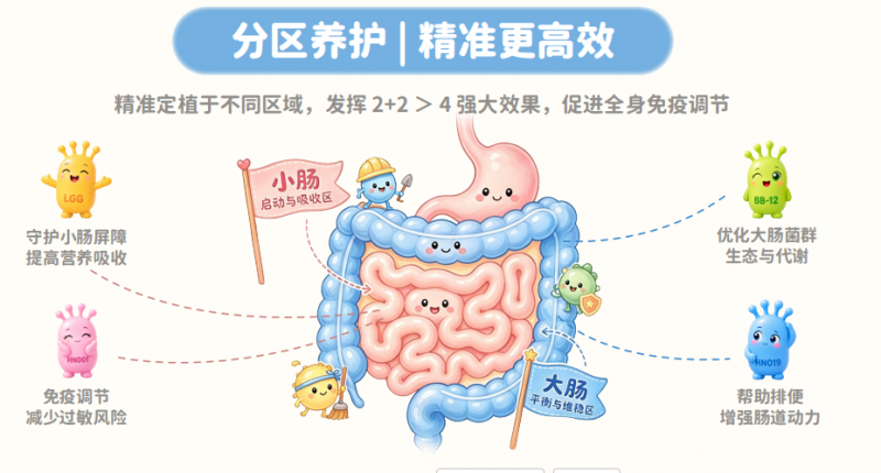 益生菌进入3.0时代:从品牌信任到科学确定性的进化 益生菌进入3.0时代:从品牌信任到科学确定性的进化