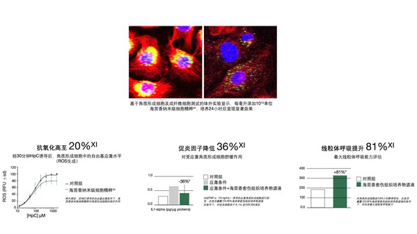 HR赫莲娜全新第六代绿宝瓶精华‌‌ 唤启细胞响应力‌ 构建年轻正循环