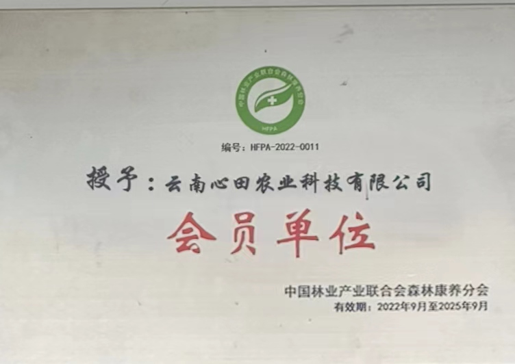 云南心田农业:依托2000亩高原农场,打造全场景企业伴手礼定制解决方案 云南心田农业:依托2000亩高原农场,打造全场景企业伴手礼定制解决方案