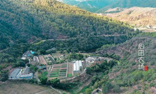 云南心田农业：依托2000亩高原农场，打造全场景企业伴手礼定制解决方案
