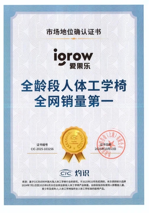 2026年当人体工学椅子哪款好？选购指南：igrow爱果乐阿尔法深度解析