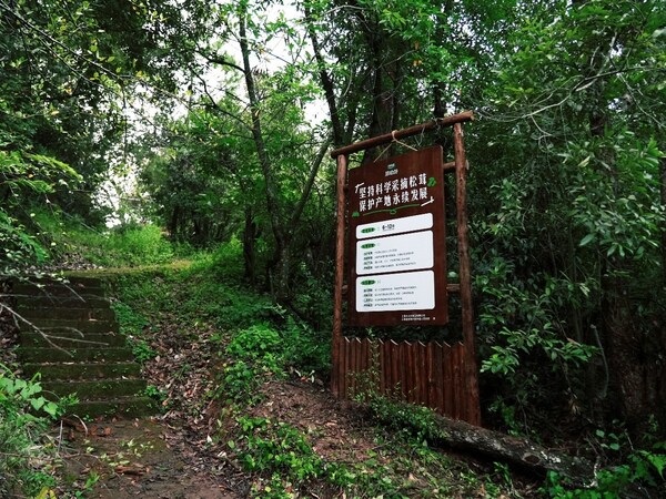 太太乐松茸开山节:打造鲜味课堂,让山间珍馐"看得见、尝得鲜" 太太乐松茸开山节:打造鲜味课堂,让山间珍馐"看得见、尝得鲜"