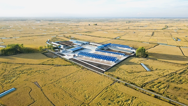 斐缦生物荣膺2026国际绿色零碳节"可持续发展典范企业奖" 斐缦生物荣膺2026国际绿色零碳节"可持续发展典范企业奖"