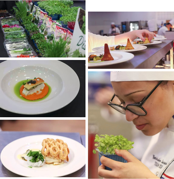 Worldchefs世界厨师联合会携手HOTELEX上海展首次落地全球厨师挑战赛 Worldchefs世界厨师联合会携手HOTELEX上海展首次落地全球厨师挑战赛