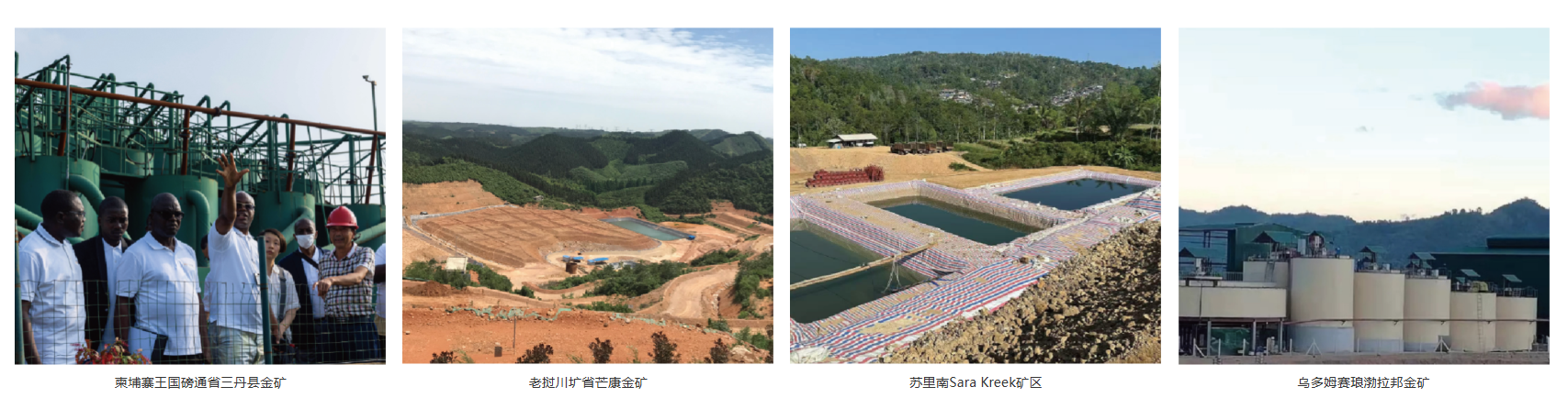 2026海外代理求中国产环保提金剂？主流品牌怎么选？