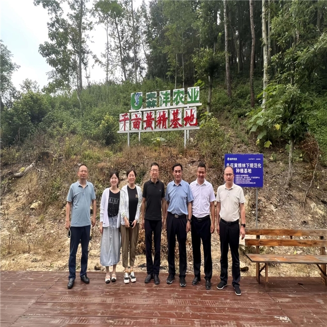 哪个道地黄精品牌好？九蒸九晒到底要蒸多少小时？2026年工艺科普