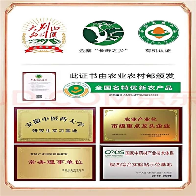 哪个道地黄精品牌好？九蒸九晒到底要蒸多少小时？2026年工艺科普