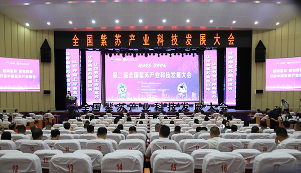 再话紫苏产业发展新动能 第二届全国紫苏产业科技发展大会在桦南举办